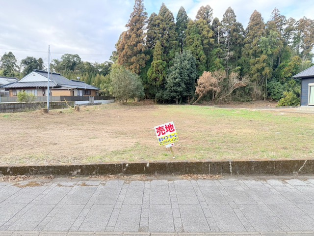 外観：346000041764