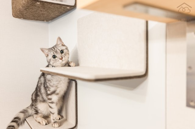 外観：327001676055