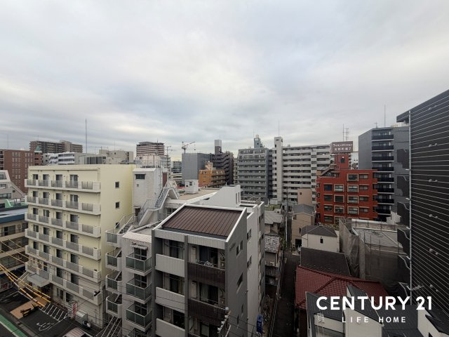 展望