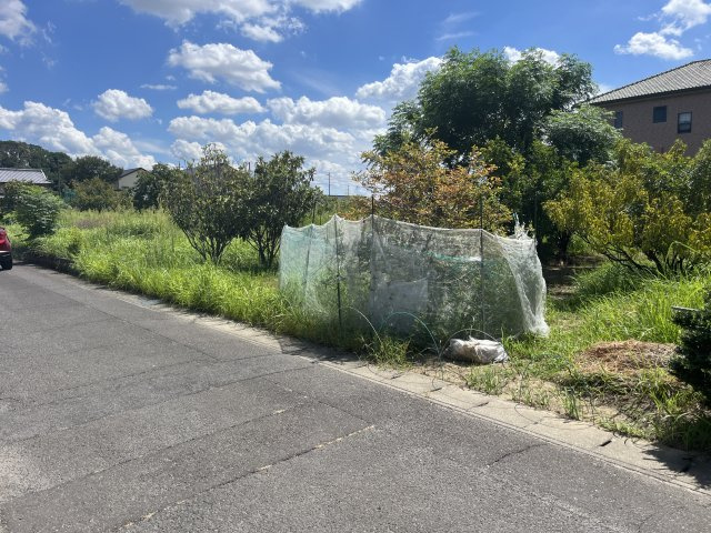 外観：323000465747