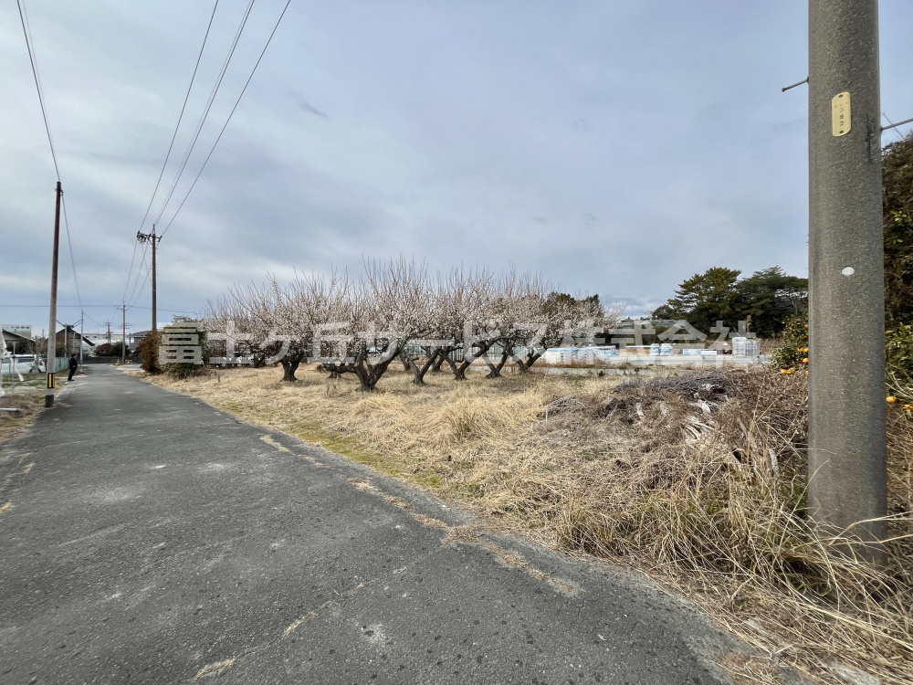 外観：322000573135