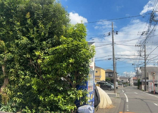 桜や紅葉の名所に出かける人は多いと思いますが、家にいながら季節の移ろいを感じる生活を送りませんか？リビングや窓から見える景色が生活を彩るワンポイントに！現地から見える景色を堪能してみては如何でしょう。