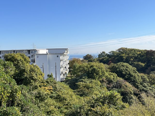 眺望が自慢のお部屋です