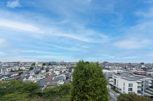 桜の季節にはバルコニーから石神井川沿いの桜並木を眺めます