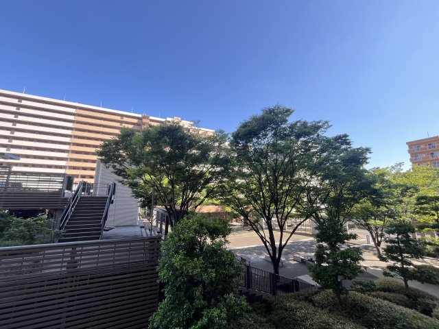 展望