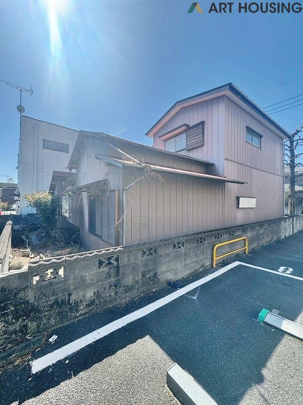 2026年3月撮影