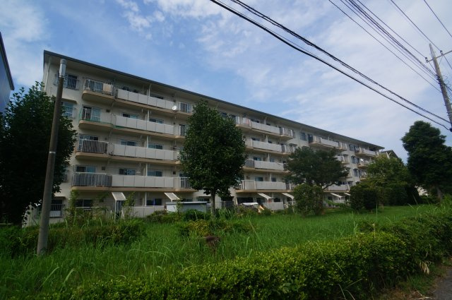 外観：312001295022