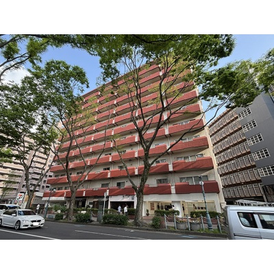 外観：340000265138