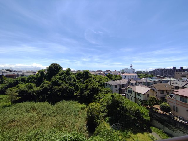 展望