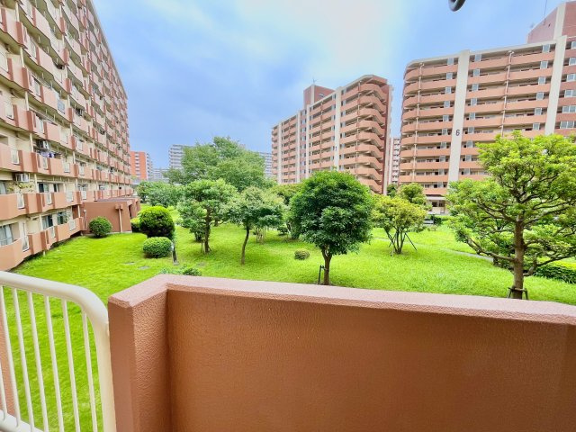 展望