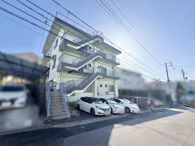 現地写真