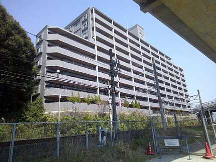 外観：334000225695