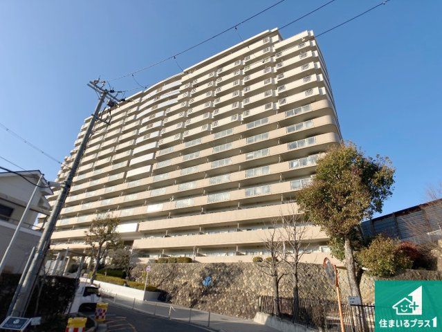 外観：328000643515