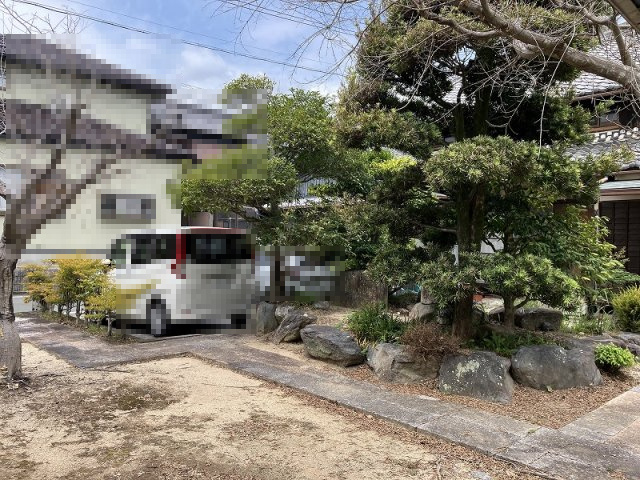 庭