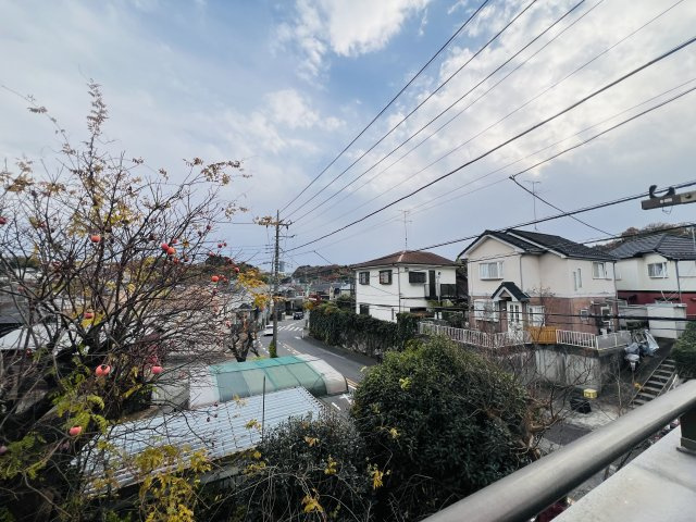 現地眺望