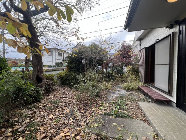 庭