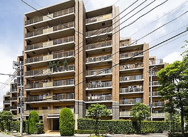 外観：313004558049