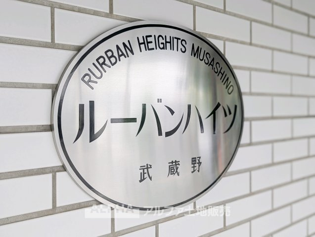 外観：313004871871