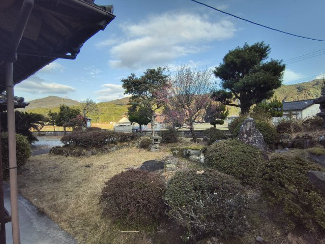 庭
