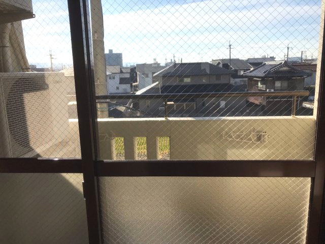 展望