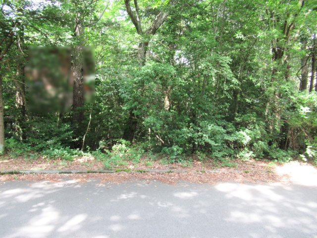 外観：319000011223