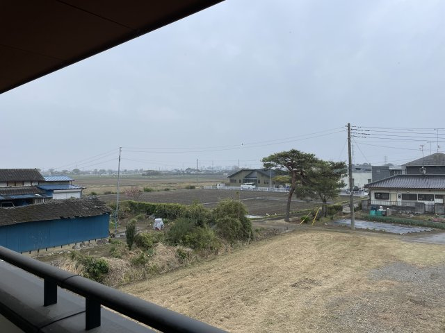 展望