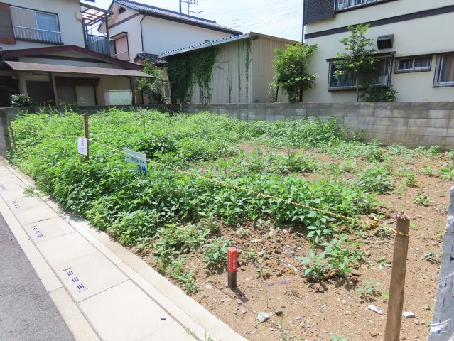 外観：311002349294