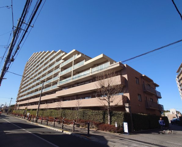 外観：313004692267