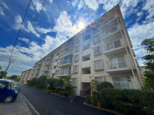 外観：312001196551