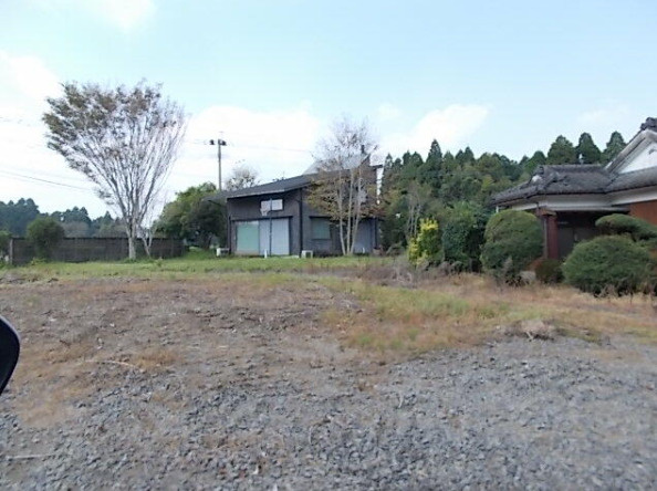 庭