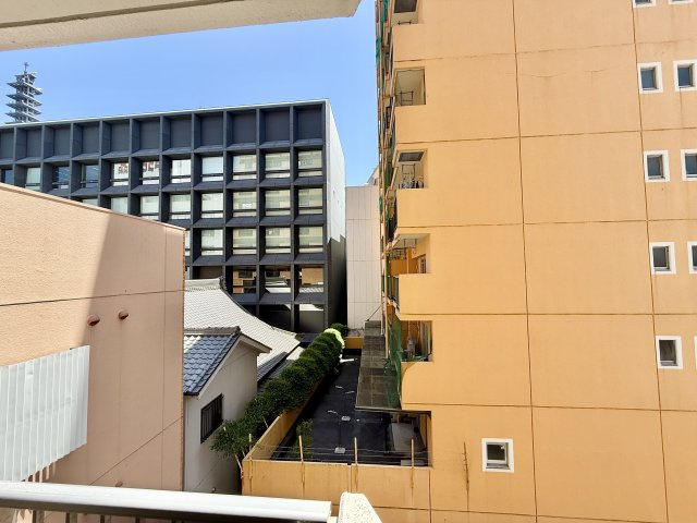 展望