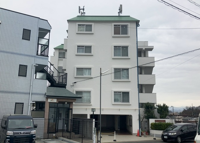 外観：313004632936