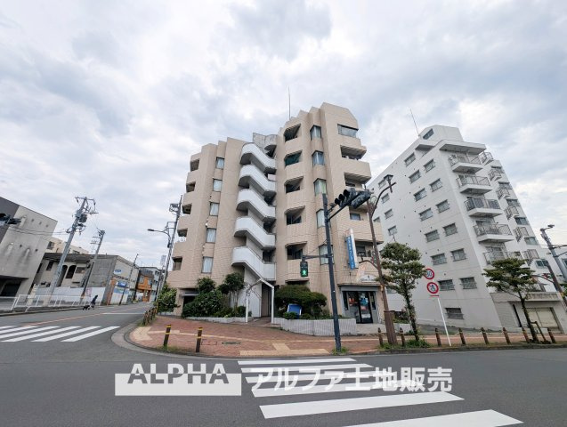 外観：313004842495