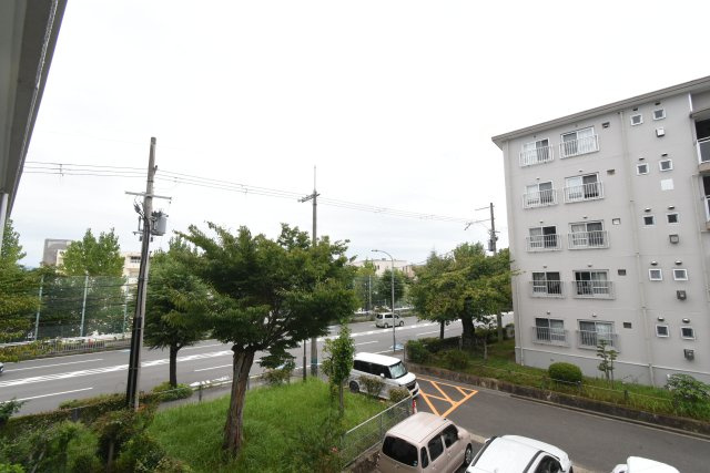 展望