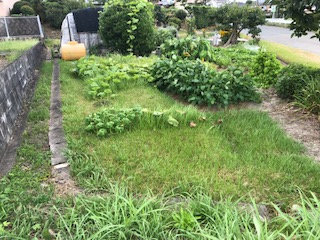 外観：322000491359