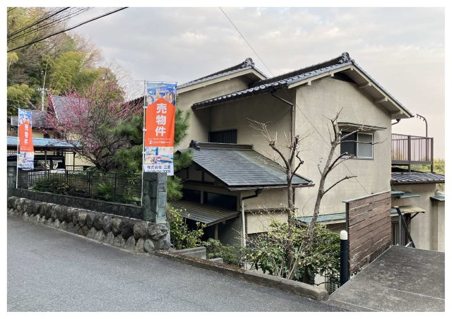 外観：313004563345