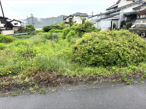 外観：309000077126