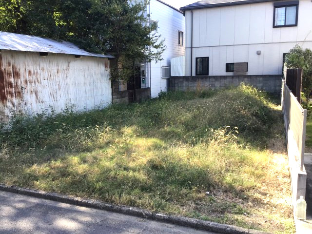 外観：330000084494