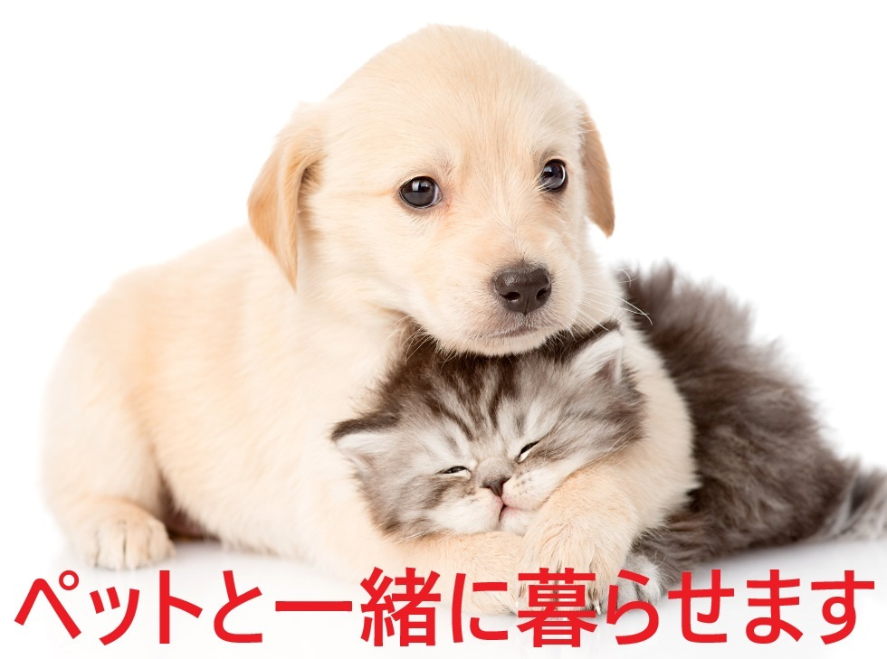 ペット飼育OK物件です。家族である大事なペットと一緒に暮らせるマンションです。　