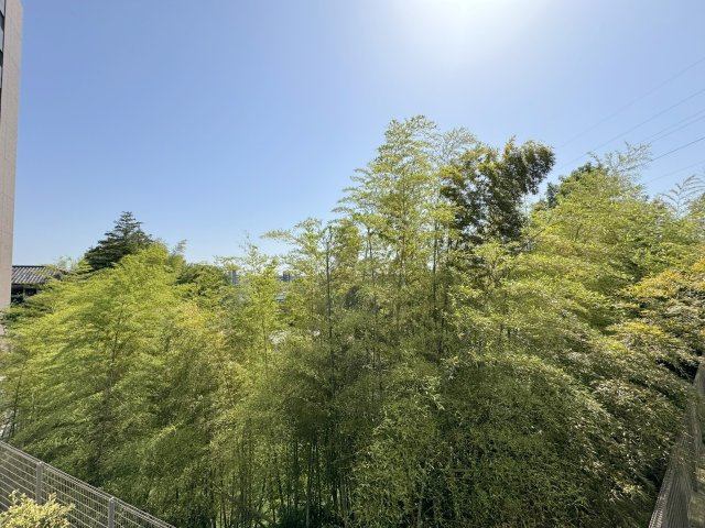 バルコニーからの眺望