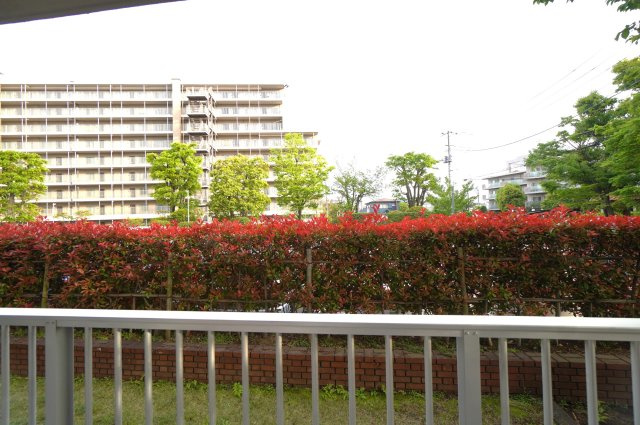 展望