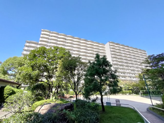 外観：313004865944