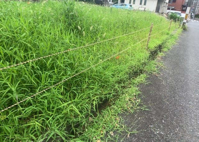人が暮らすうえで日光は大切な要素となります。日当たりの良さは譲れないポイントですね。併せて近くに大きな建築物の建築予定がないか、あるいはそれが可能な土地が近くにないか事前に確認することもお勧めします。