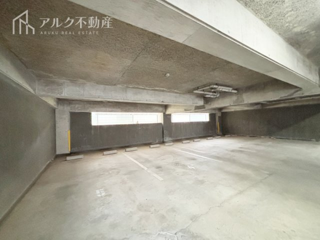 2026年3月撮影