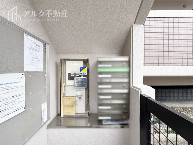 2026年3月撮影