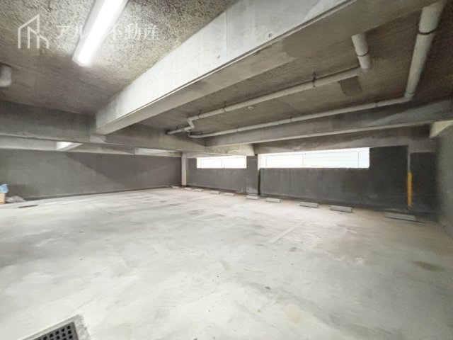 2026年3月撮影