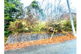 塩谷郡塩谷町　大字田所　住宅土地の外観