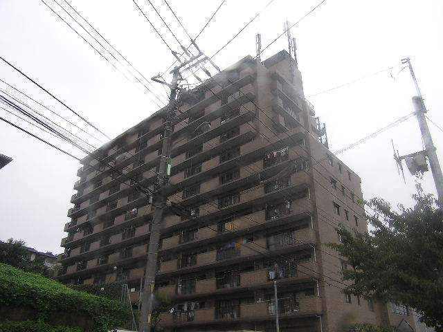 外観：311002379500
