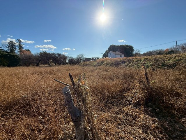 敷地約1228坪・穏やかな住環境です！自然豊かな内牧公園まで徒歩約2分(100ｍ)！資材置場・家庭菜園用地としても検討可！お気軽にお問い合わせください！