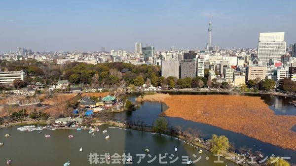 窓一面に広がるのは、歴史と未来が交差する上野の街。移ろう季節を身近に感じる、贅沢なパノラマ眺望です。